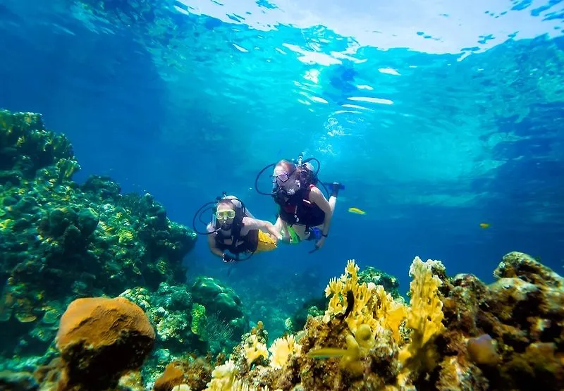 Resort Sandals Inn All Inclusive - Couples Only (Adults Only) Montego Bay